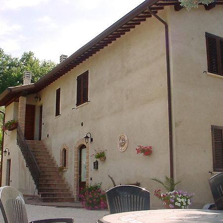 Agriturismo La Cantina San Martino Assisi Exterior photo