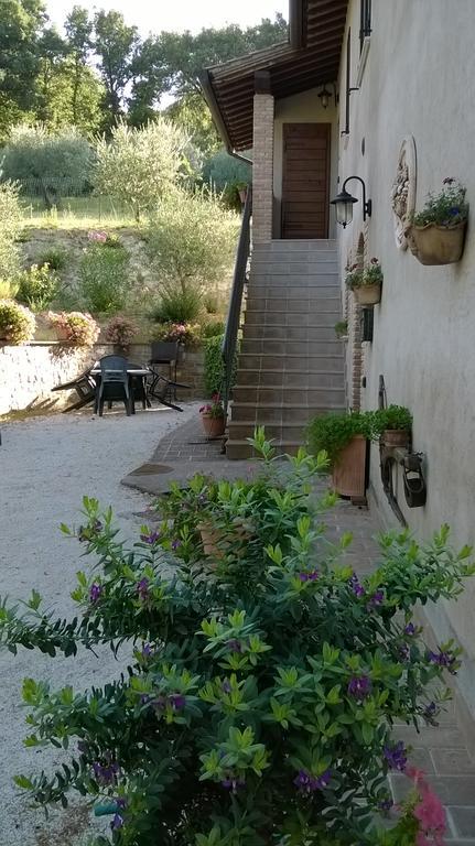Agriturismo La Cantina San Martino Assisi Exterior photo